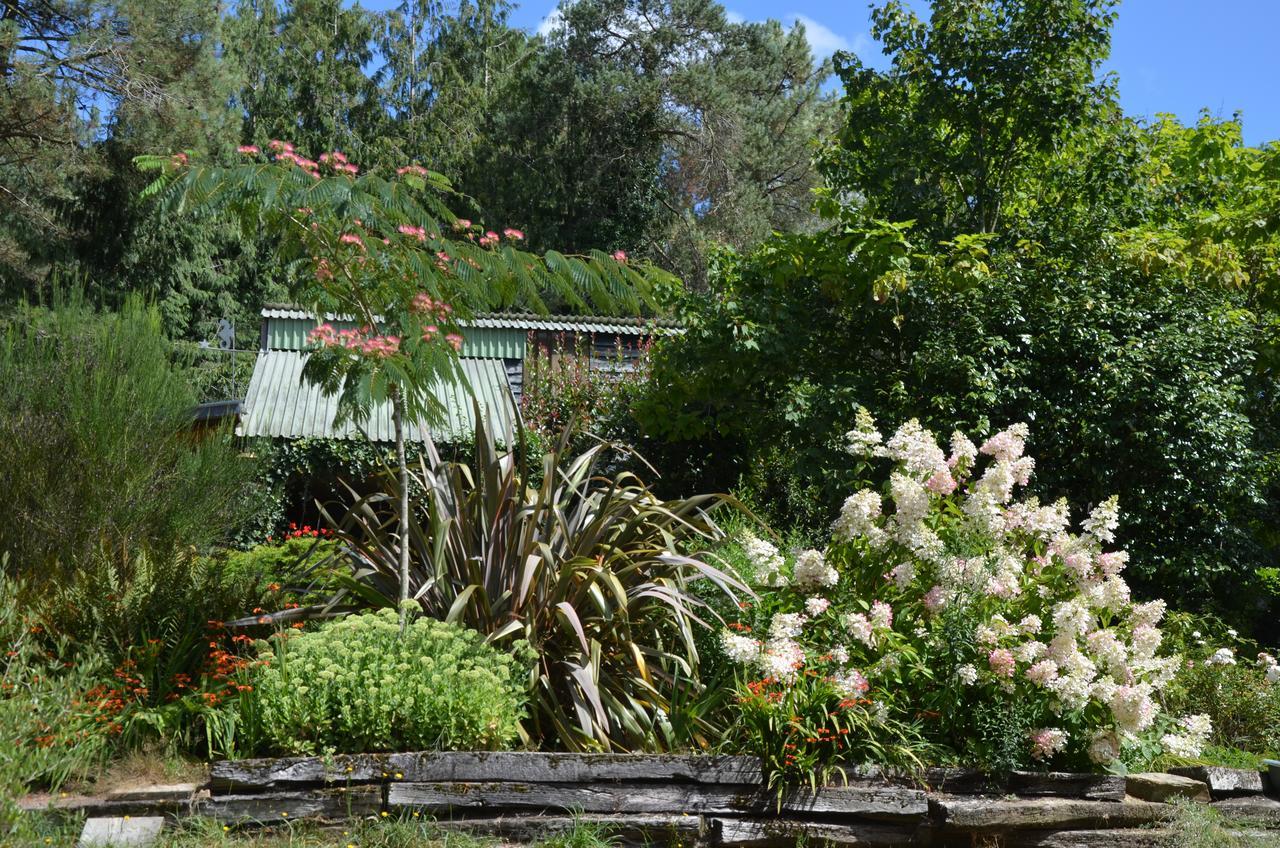 L'Hippocampe Bed & Breakfast Serent Exterior photo