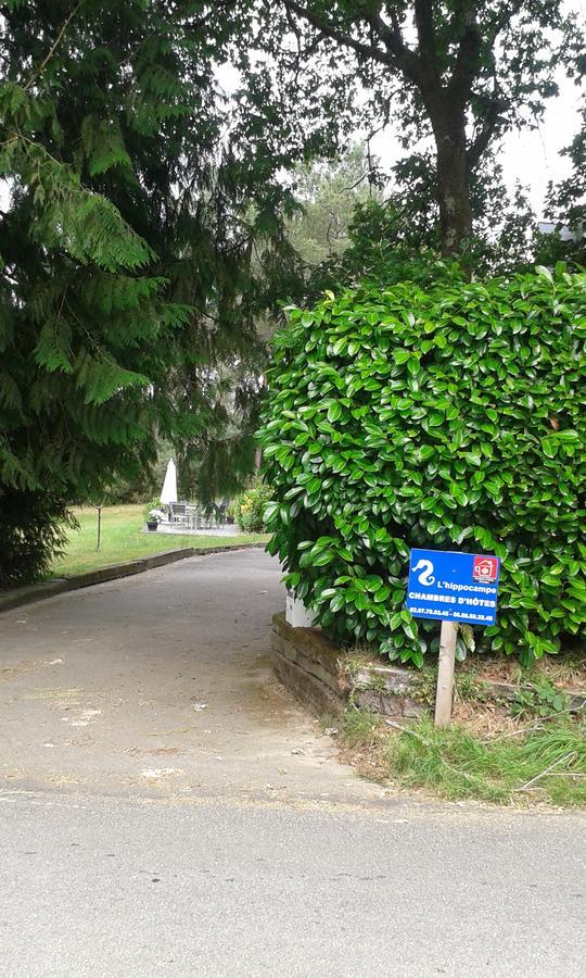L'Hippocampe Bed & Breakfast Serent Exterior photo