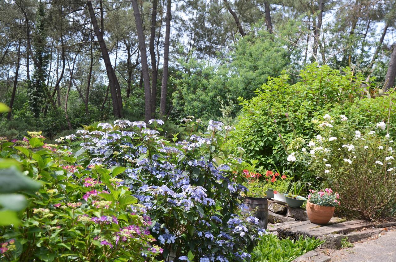 L'Hippocampe Bed & Breakfast Serent Exterior photo